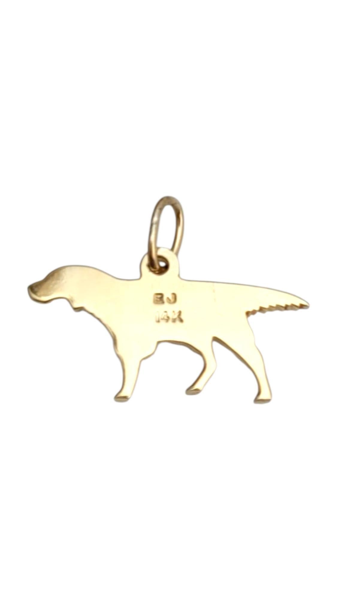 14K Yellow Gold Pointer Dog Charm

Loyal, lovable, and golden — this dog charm is your new best friend! This adorable charm features a dog depicted in 14 karat yellow gold.

Size: 13.1 mm X 22.9 mm X 2.1 mm

Length with bale: 17.6 mm

Weight: 2.4 g