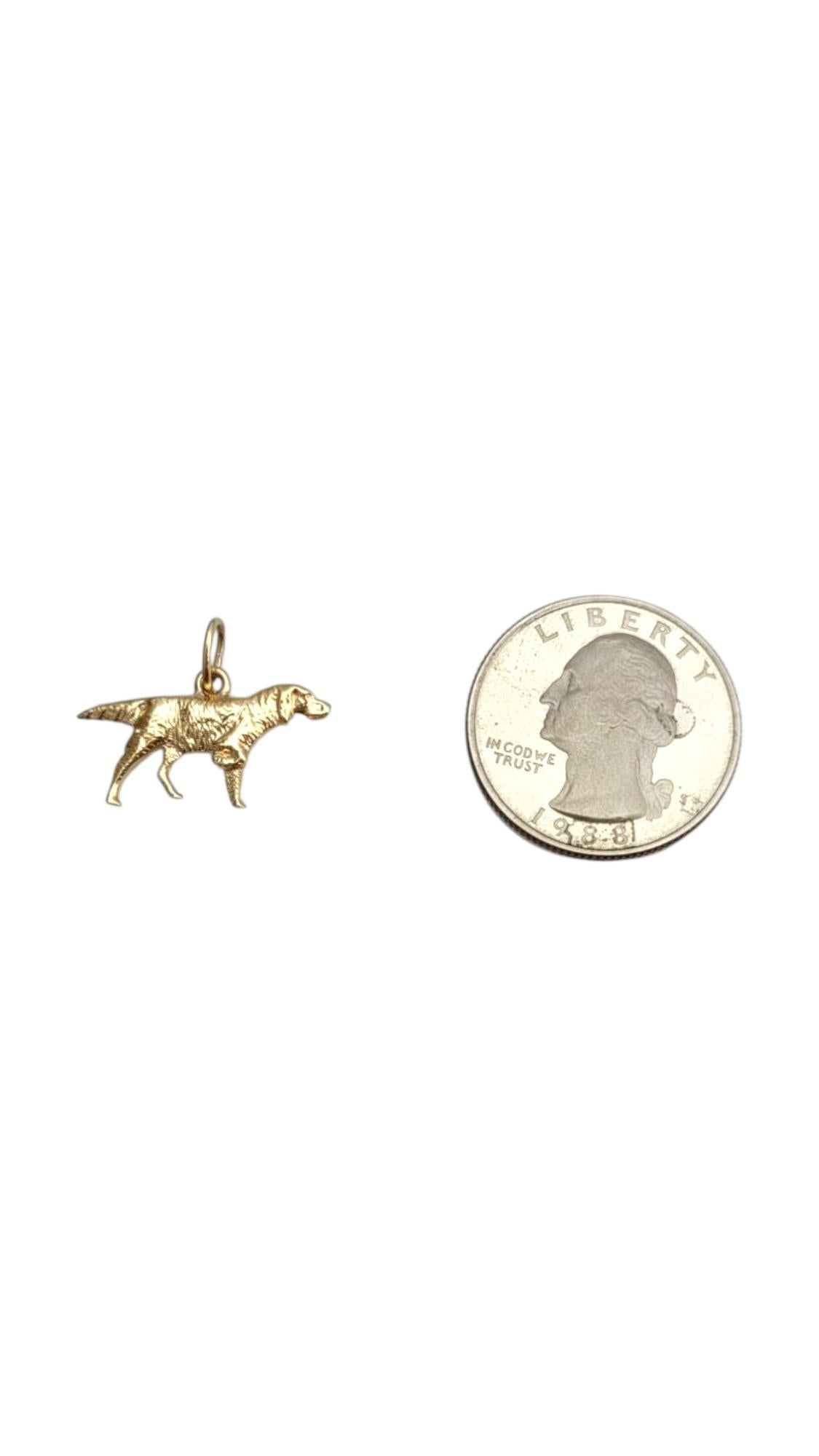 14K Yellow Gold Pointer Dog Charm #21996 In Good Condition For Sale In Washington Depot, CT