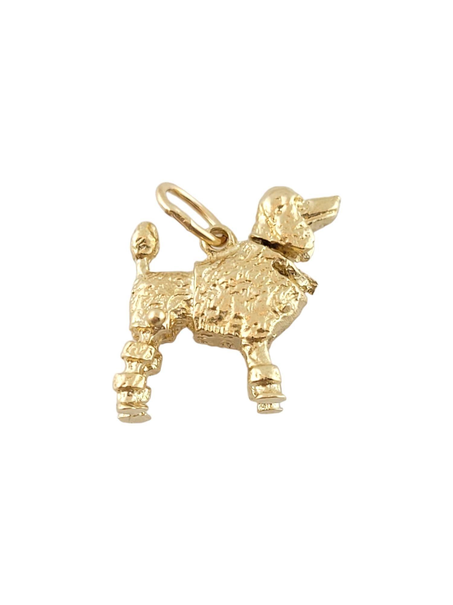Vintage 14K Yellow Gold Poodle Charm

This 14K yellow gold poodle charm has an adorable bobblehead feature and would be perfect for any poodle lovers!

Size: 15mm X 16mm X 5mm

Weight: 3.2 g/ 2.0 dwt

Hallmark: 14K

Very good condition,