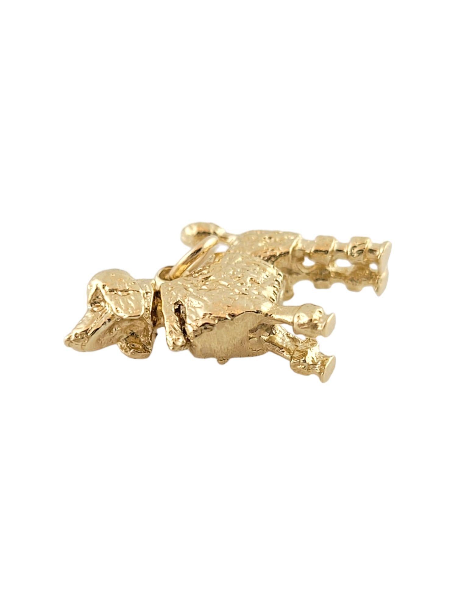Women's 14k Yellow Gold Poodle Charm