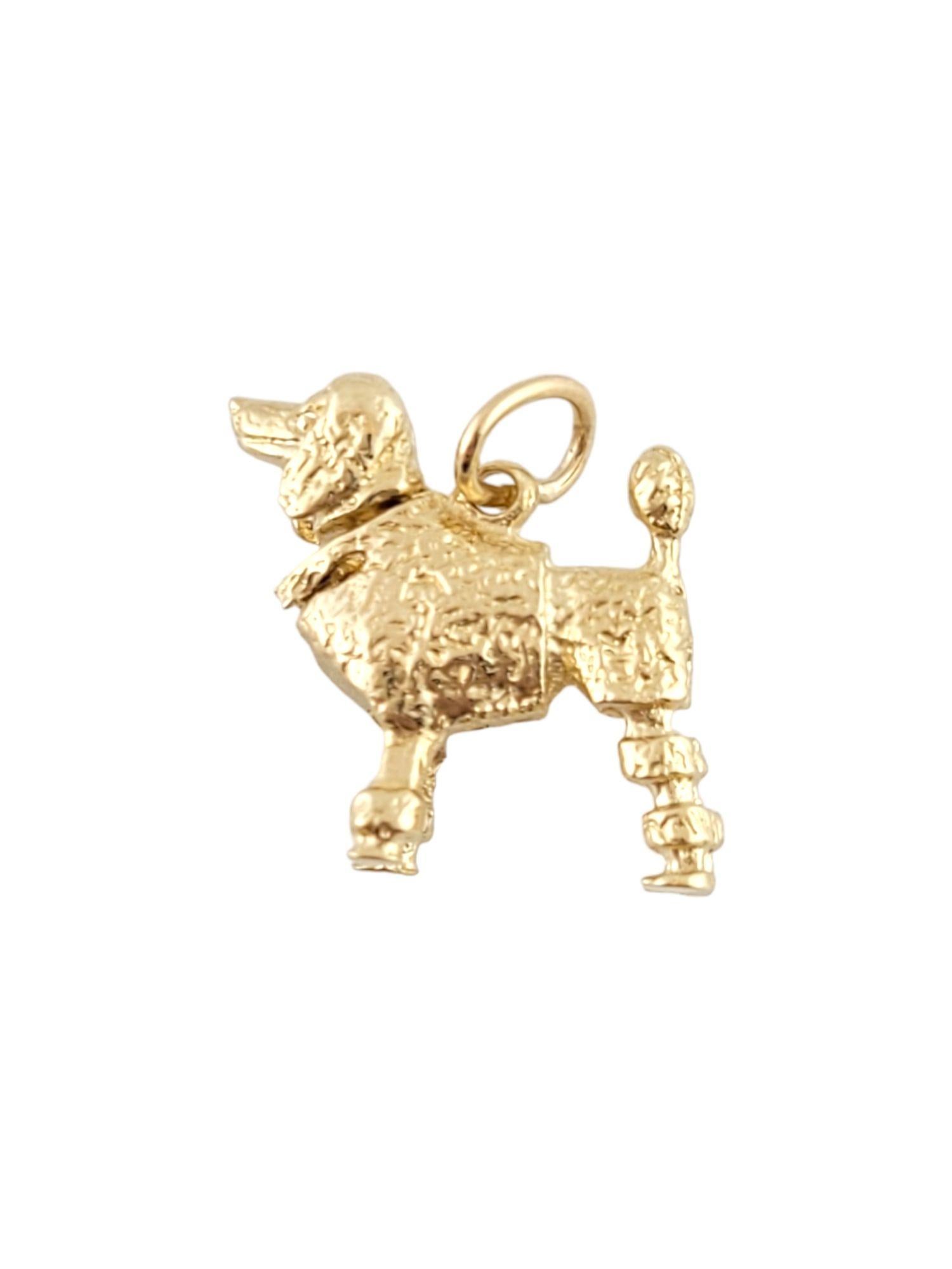 14k Yellow Gold Poodle Charm 1
