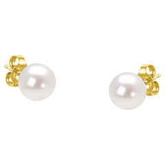 14K Yellow Gold Round Freshwater Akoya Cultured AAA+ Quality Pearl Stud Earrings