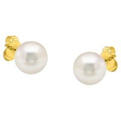 Clous d'oreilles en or jaune 14 carats avec perles d'eau douce Akoya de qualité AAA+