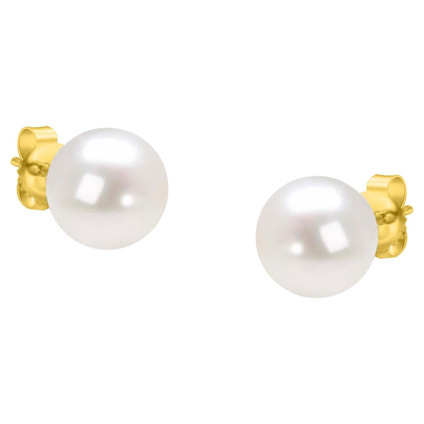 14K Yellow Gold Round Freshwater Akoya Cultured AAA+ Quality Pearl Stud Earrings For Sale