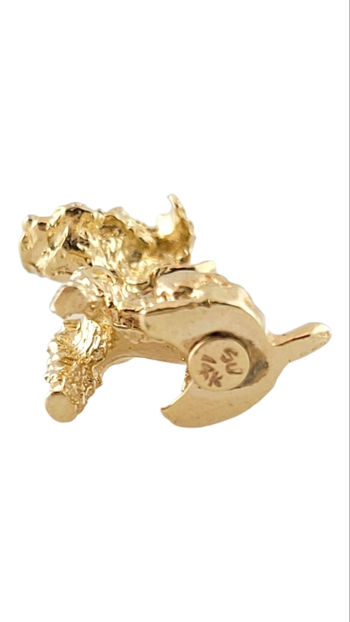 Women's 14K Yellow Gold Schnauzer Dog Charm #15184