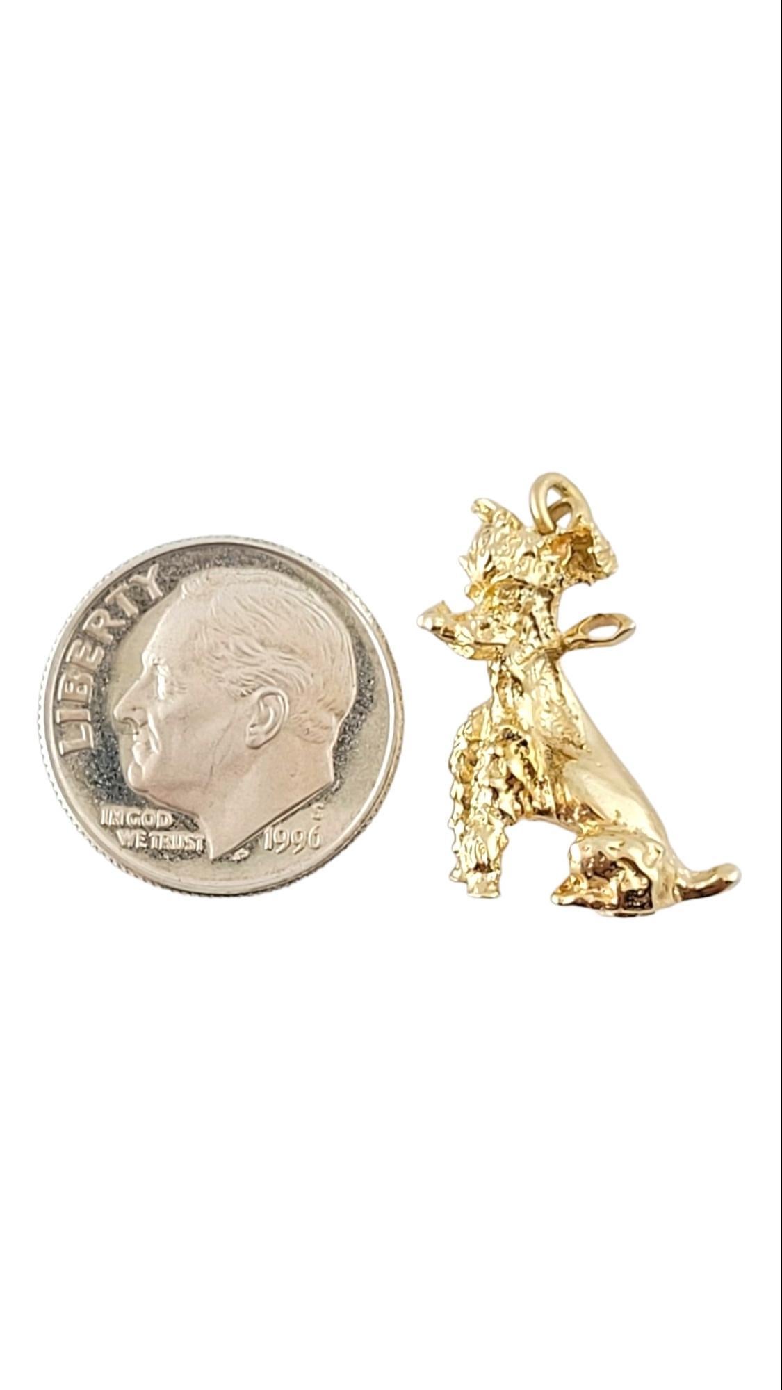 14K Yellow Gold Schnauzer Dog Charm #15184 1