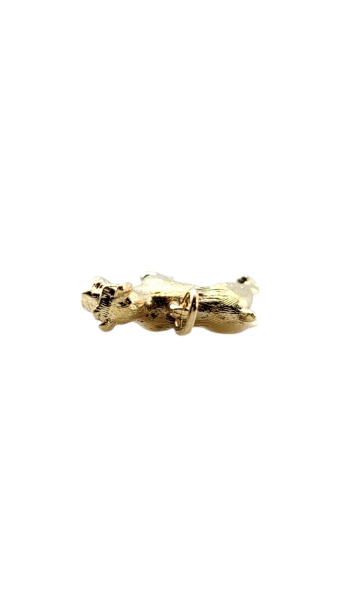 Breloque Schnauzer chien en or jaune 14 carats n°20323 en vente 1
