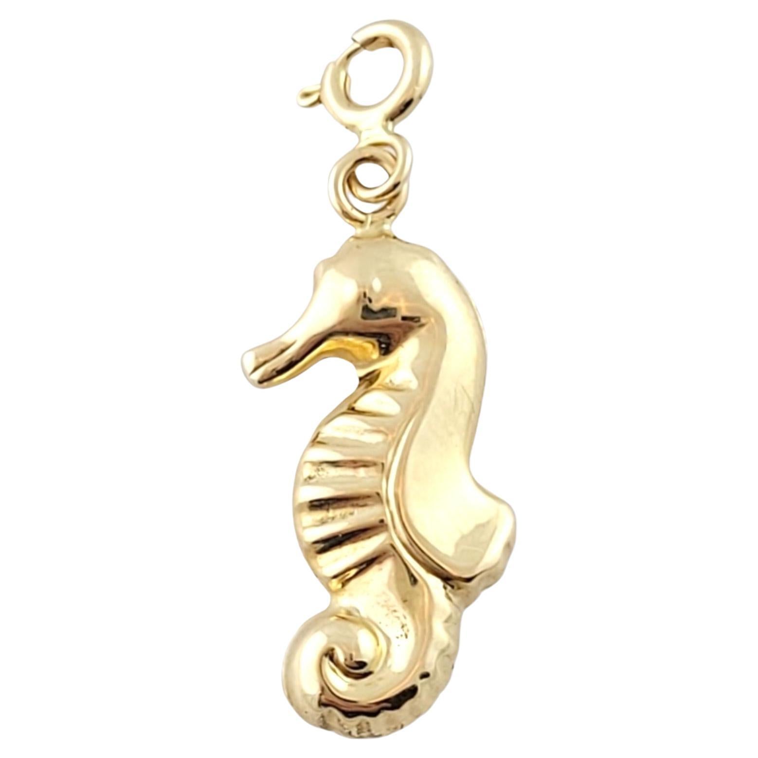 14K Yellow Gold Sea Horse Charm #15813 For Sale