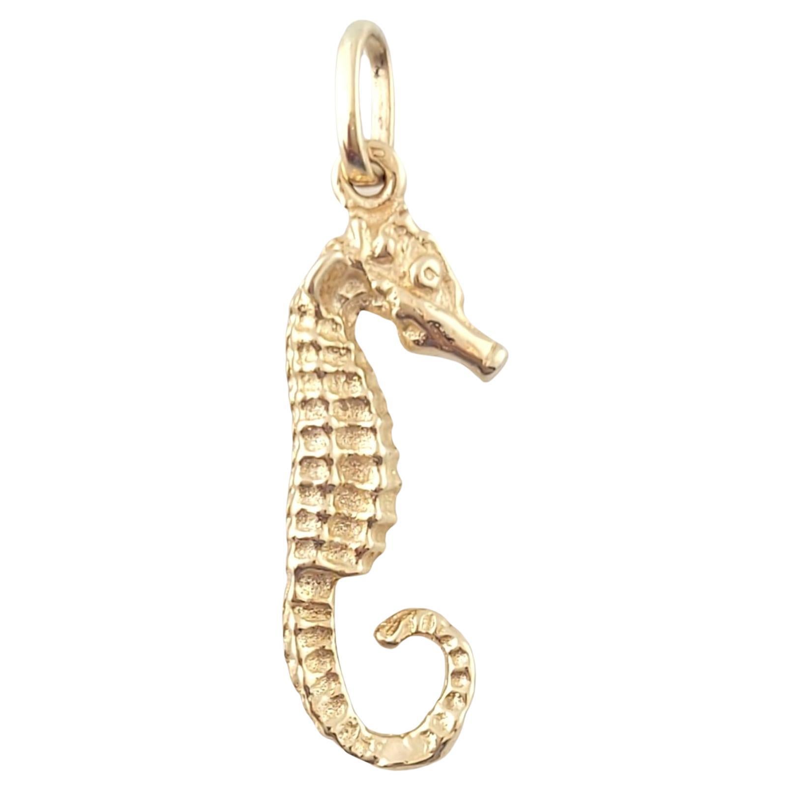 14K Yellow Gold Seahorse Charm #16357 For Sale