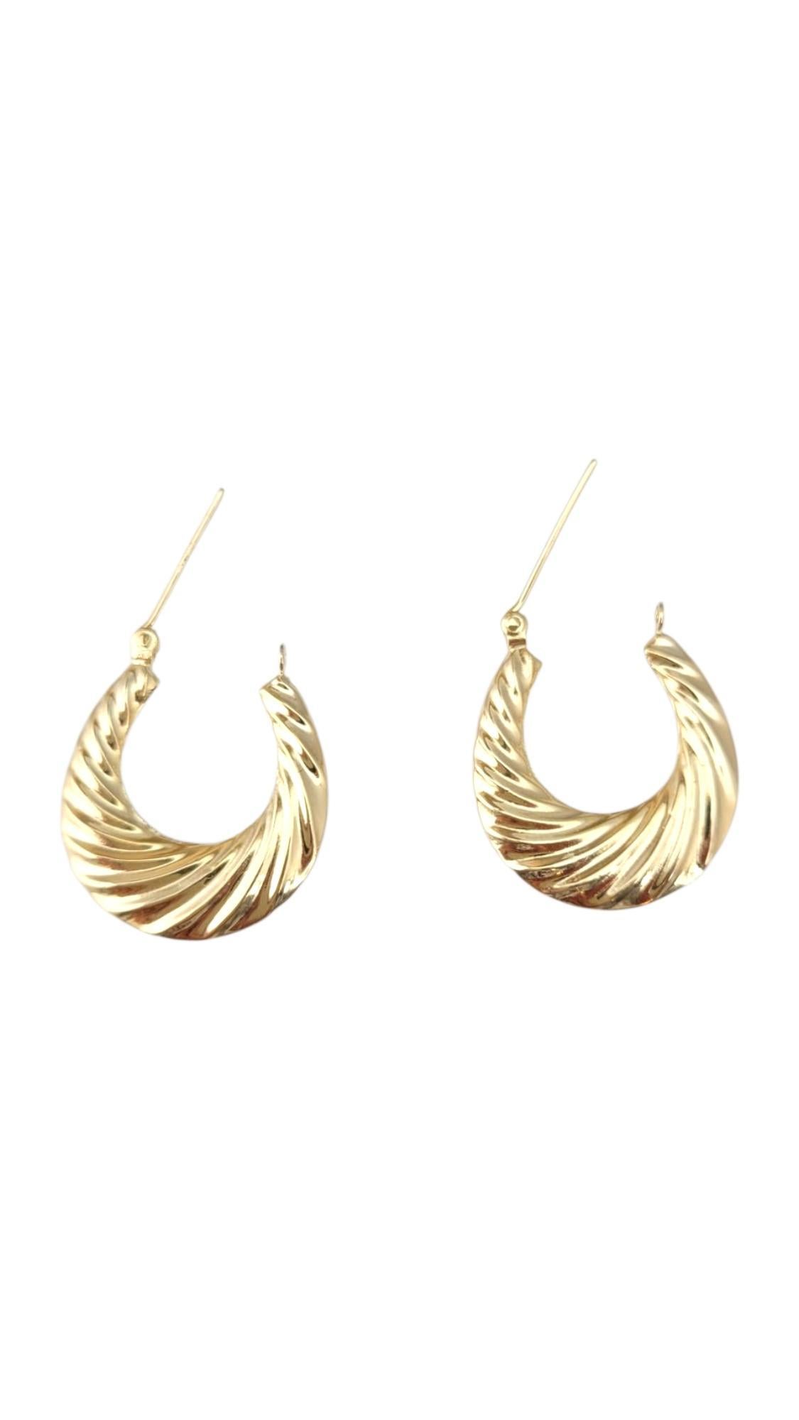 Women's 14K Yellow Gold Shrimp Hoop Earrings #21736 For Sale