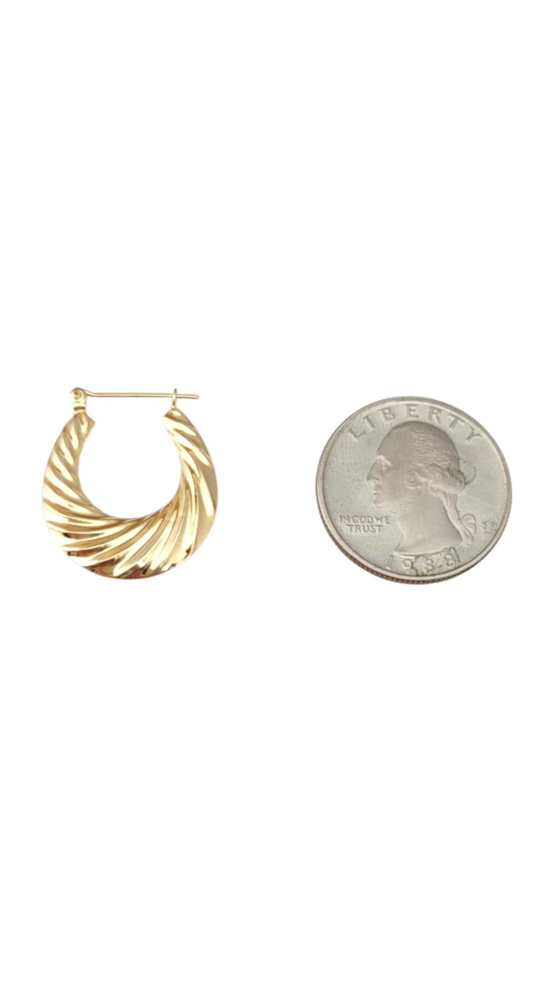 14K Yellow Gold Shrimp Hoop Earrings #21736 For Sale 2