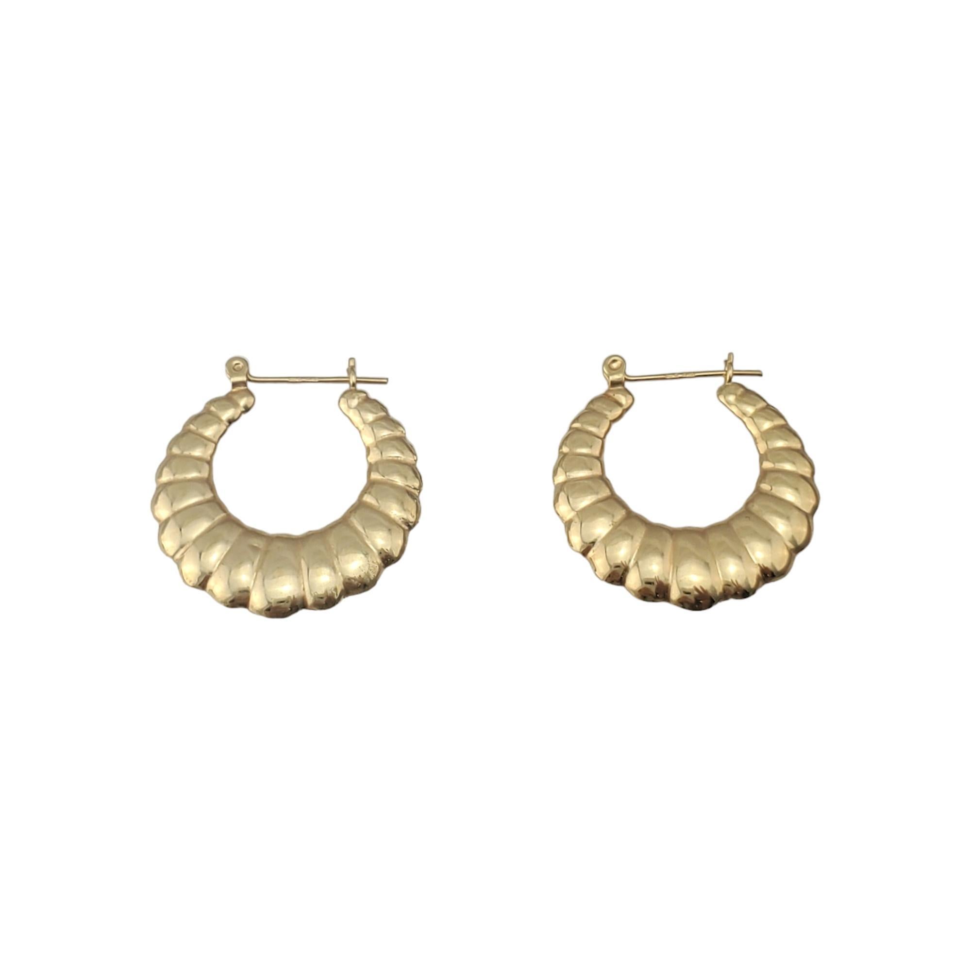 14K Yellow Gold Shrimp Style Hoop Earrings

Oval hoop earrings with shrimp style details in 14K yellow gold.

Hallmark: 14K MM

Weight: 1.96 g/ 1.27 dwt.

Size: 25.48 mm X 24.04 mm X 2.84 mm

Very good condition, professionally polished.

Will come