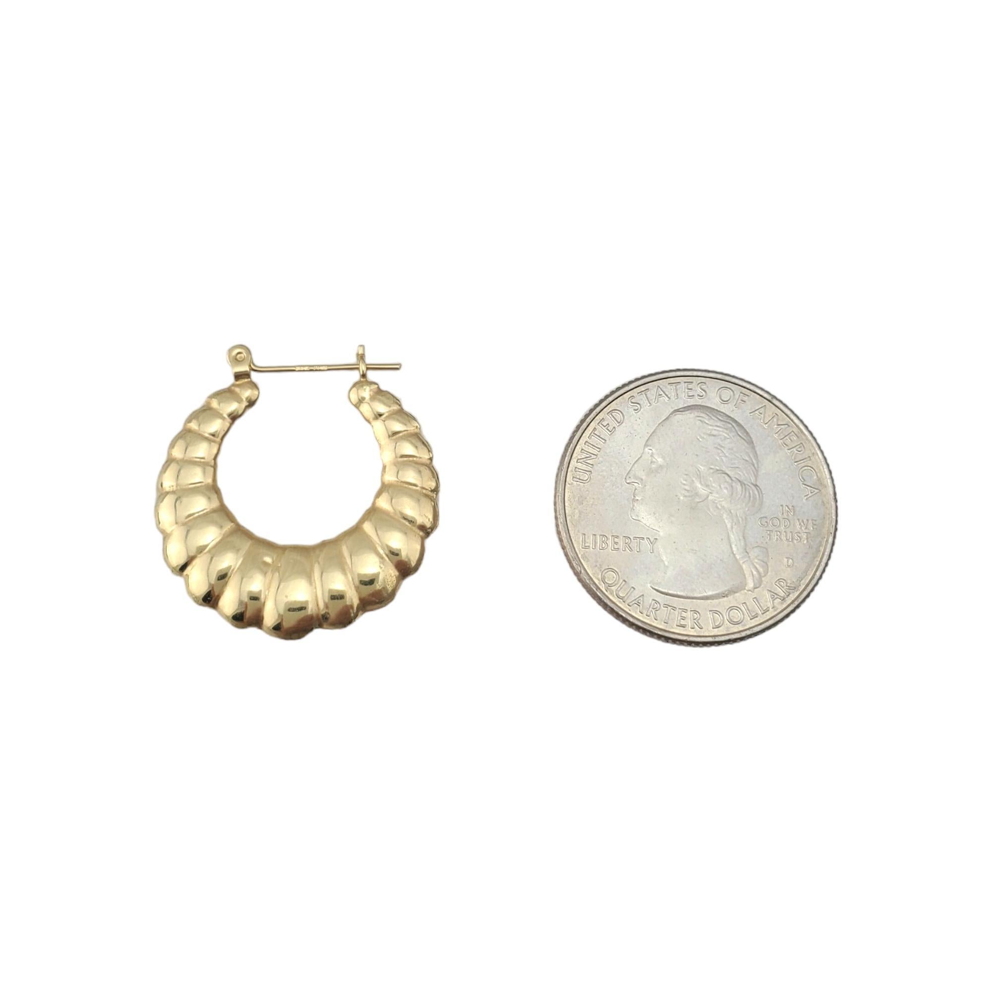 14K Yellow Gold Shrimp Style Hoop Earrings #18434 1