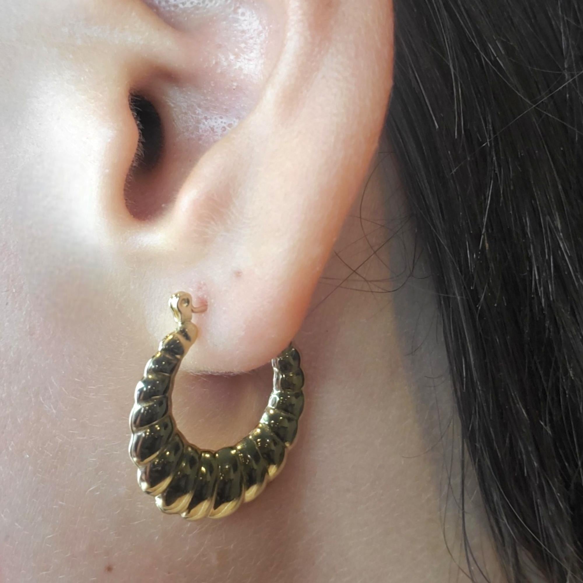 14K Yellow Gold Shrimp Style Hoop Earrings #18434 2