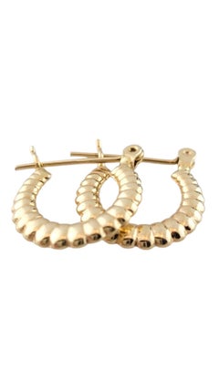 14K Yellow Gold Small Bubble Hoop Earrings #16262