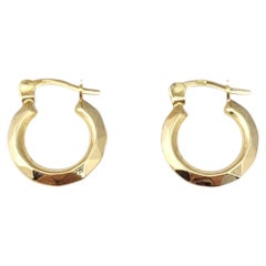 14K Yellow Gold Small Hoop Earrings #21658