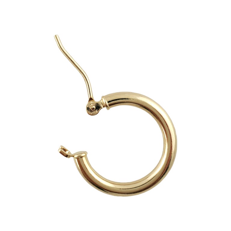 Myles Gold Small Hoop Earrings main image 1