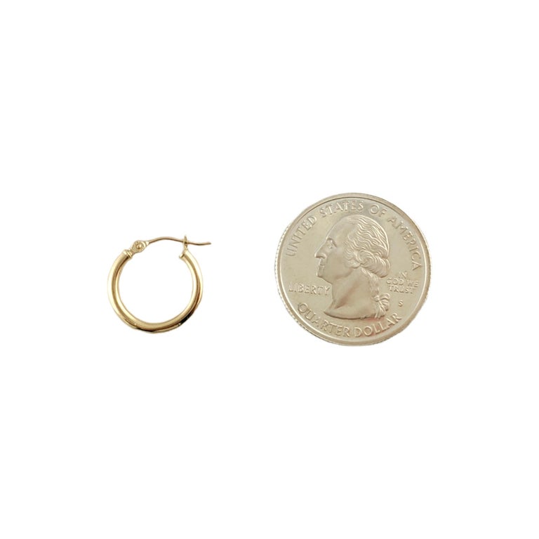 Myles Gold Small Hoop Earrings