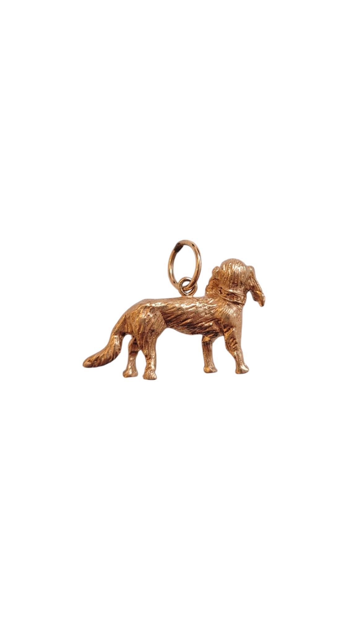 14K Yellow Gold Spaniel Dog Charm-

This adorable 14k yellow gold dog charm is a delightful tribute to man's best friend. With intricate detailing and a warm, radiant finish, it’s the perfect way to celebrate the love and loyalty of your furry