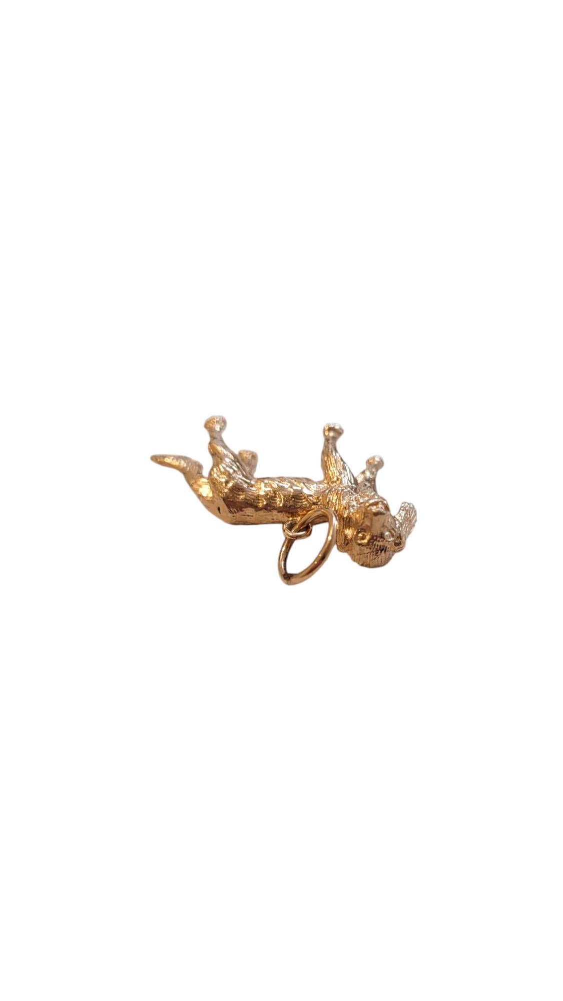 14K Yellow Gold Spaniel Dog Charm #20552 For Sale 1