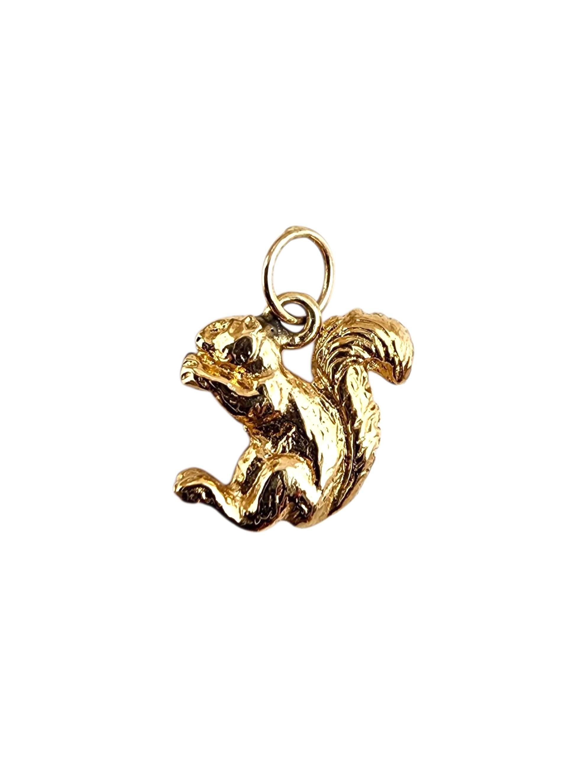Scoiattolo in oro giallo 14K con charme a forma di dado

Questo charm in oro giallo 14K con scoiattolo è un tributo giocoso e dettagliato all'energico raccoglitore della natura. Con una finitura lucida e un design realistico, cattura il fascino e la