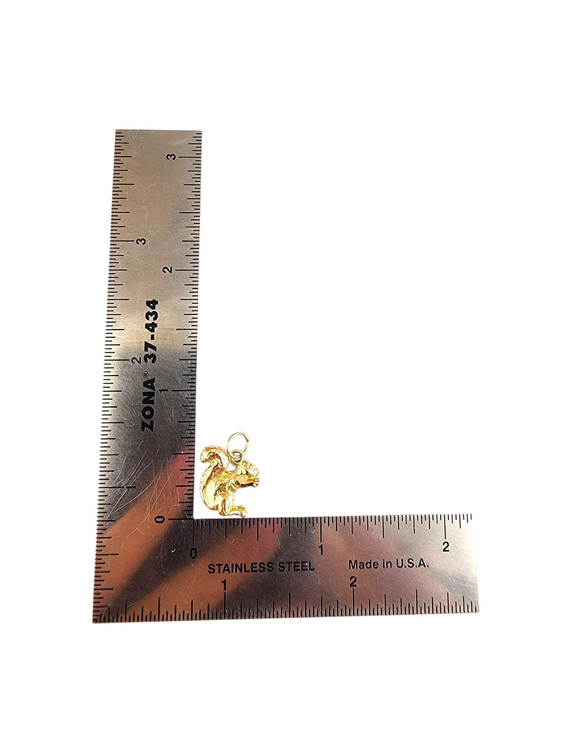 Charm in oro giallo 14K con scoiattolo e dado #22509 in vendita 1