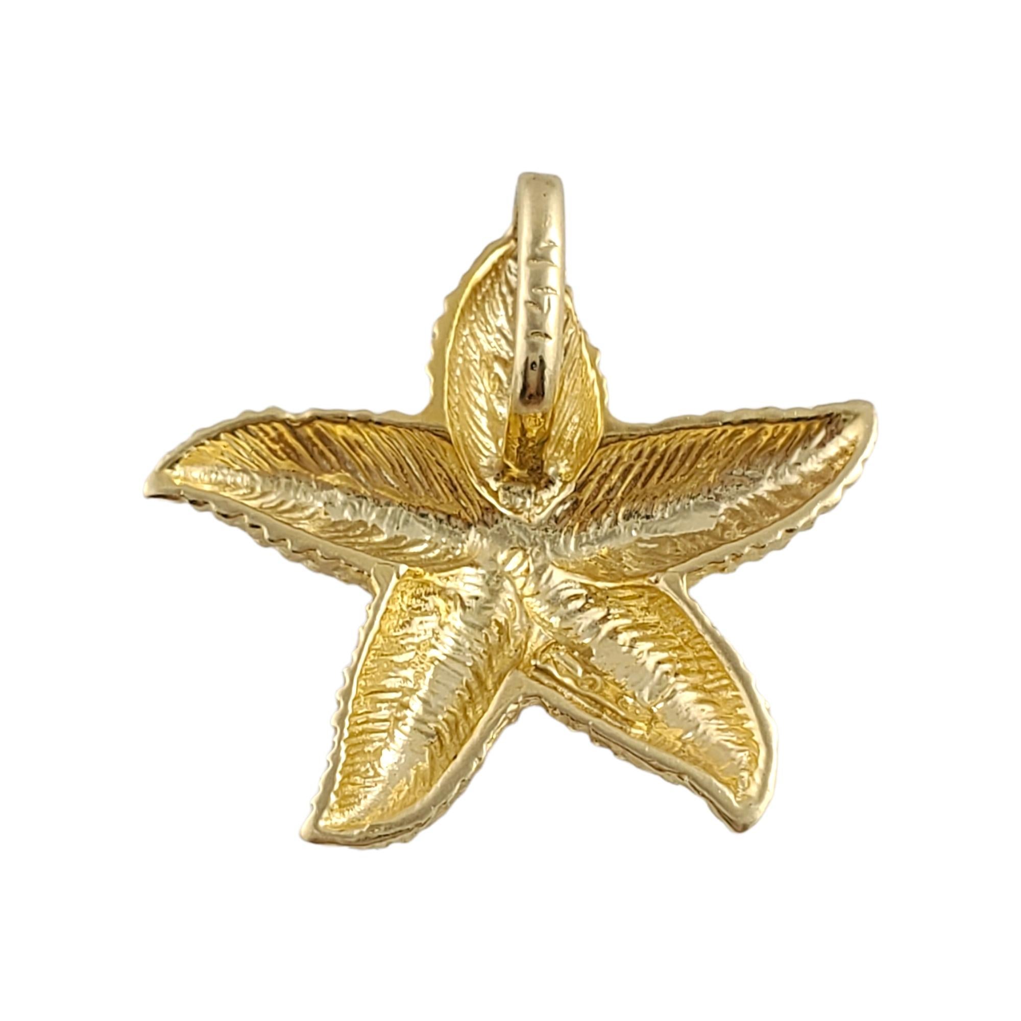 14K Gelbgold Seestern Charme 1