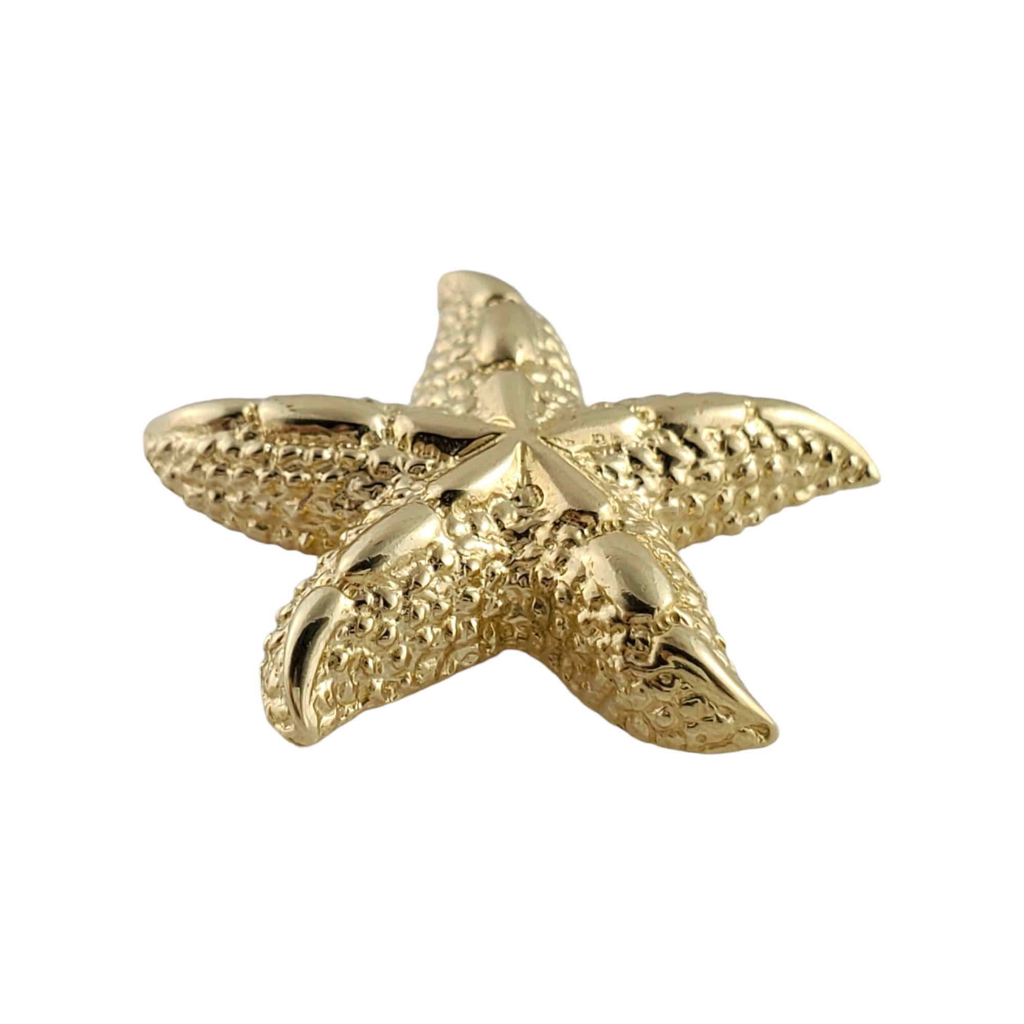 14K Gelbgold Seestern Charme 2