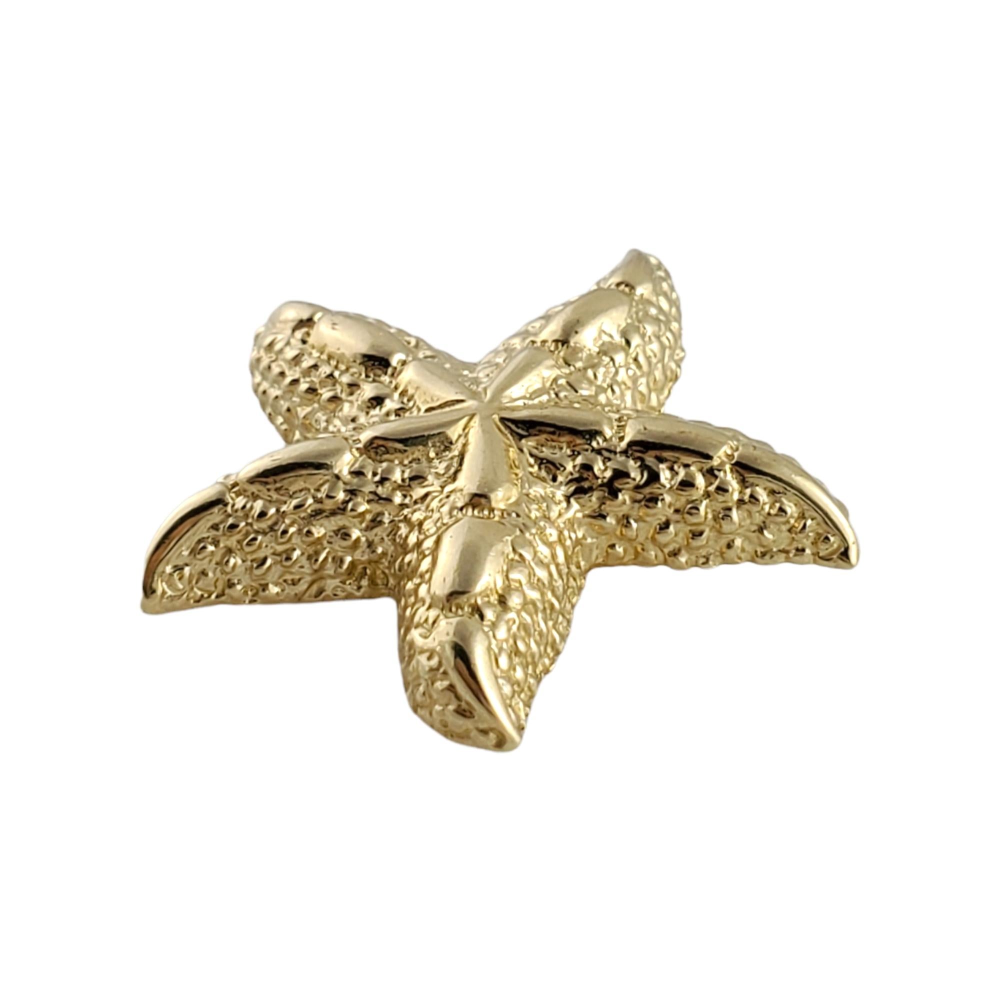 14K Gelbgold Seestern Charme 4