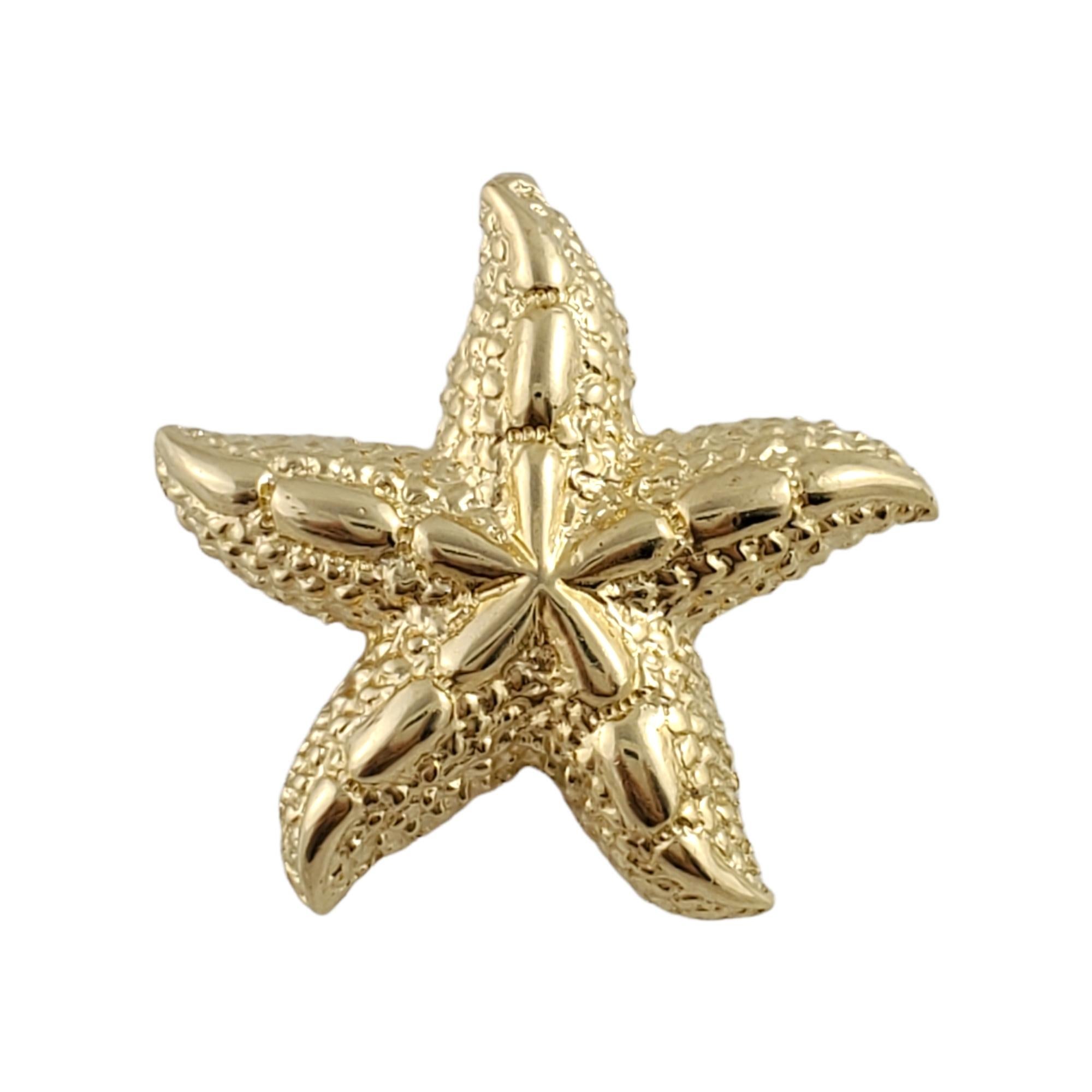 14K Gelbgold Seestern Charme 5