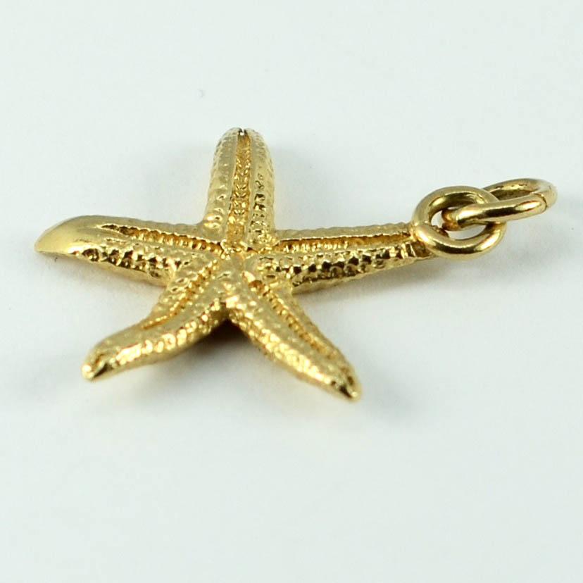 A 14 karat (14K) yellow gold charm pendant designed as a starfish. Unmarked but tested as 14 karat gold.

Dimensions: 2.4 x 2 x 0.3 cm
Weight: 2.59 grams
