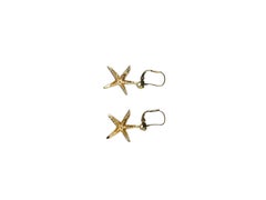 14K Yellow Gold Starfish Earrings #15938