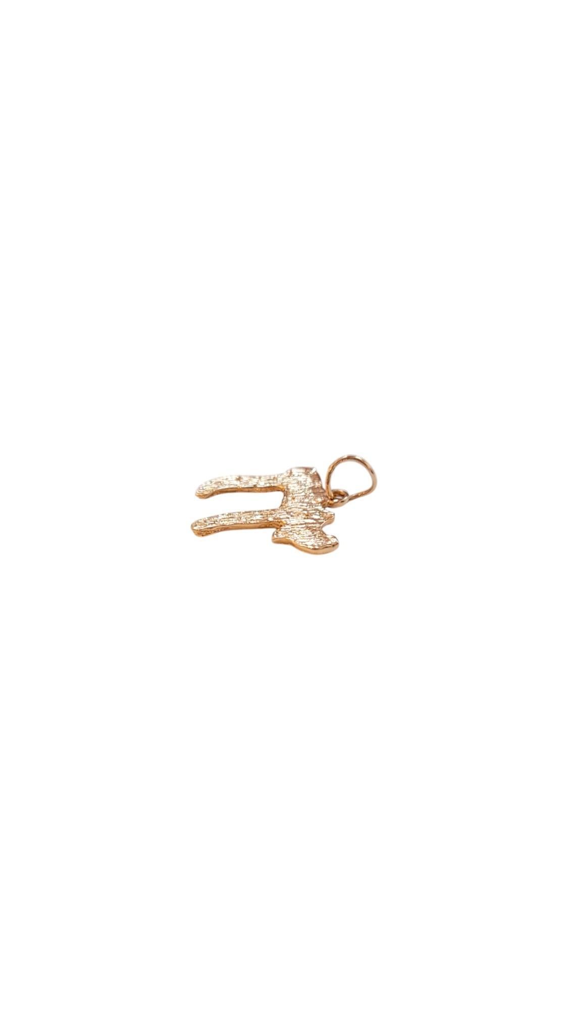 Charm Chai testurizzato in oro giallo 14K.

Questo significativo ciondolo Chai simboleggia la vita e la vitalità, realizzato con dettagli intricati per mostrare il suo significato senza tempo. Realizzato in metallo di alta qualità, è una perfetta