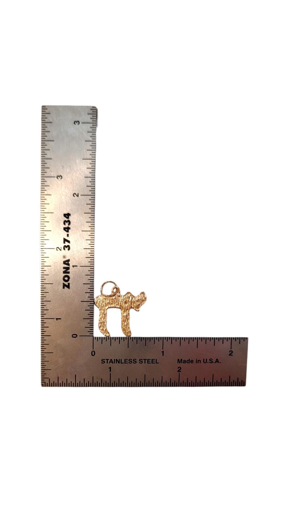 Pendentif breloque chai texturé en or jaune 14 carats #20539 en vente 1