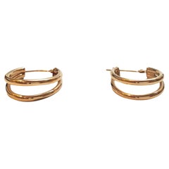 14K Yellow Gold Two Strand Hoop Earrings #17946