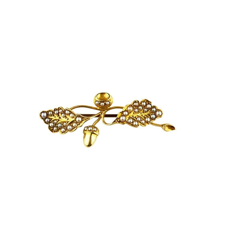 Art Nouveau 14k Yellow Gold Victorian Oak Blossom Seed Pearl Brooch Gorgeous For Sale