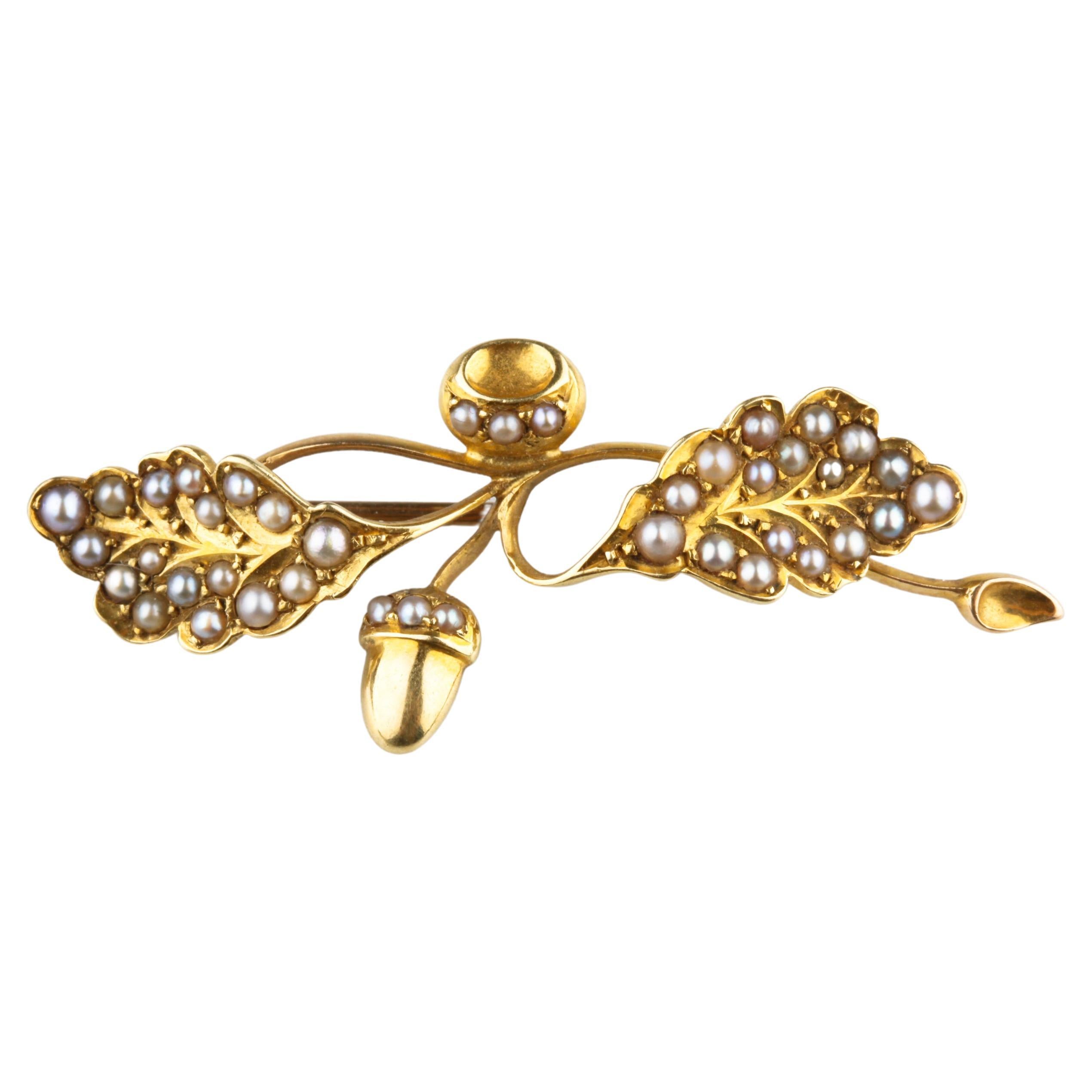 Broche victoriano de oro amarillo de 14 quilates con flor de roble y perlas preciosas en venta