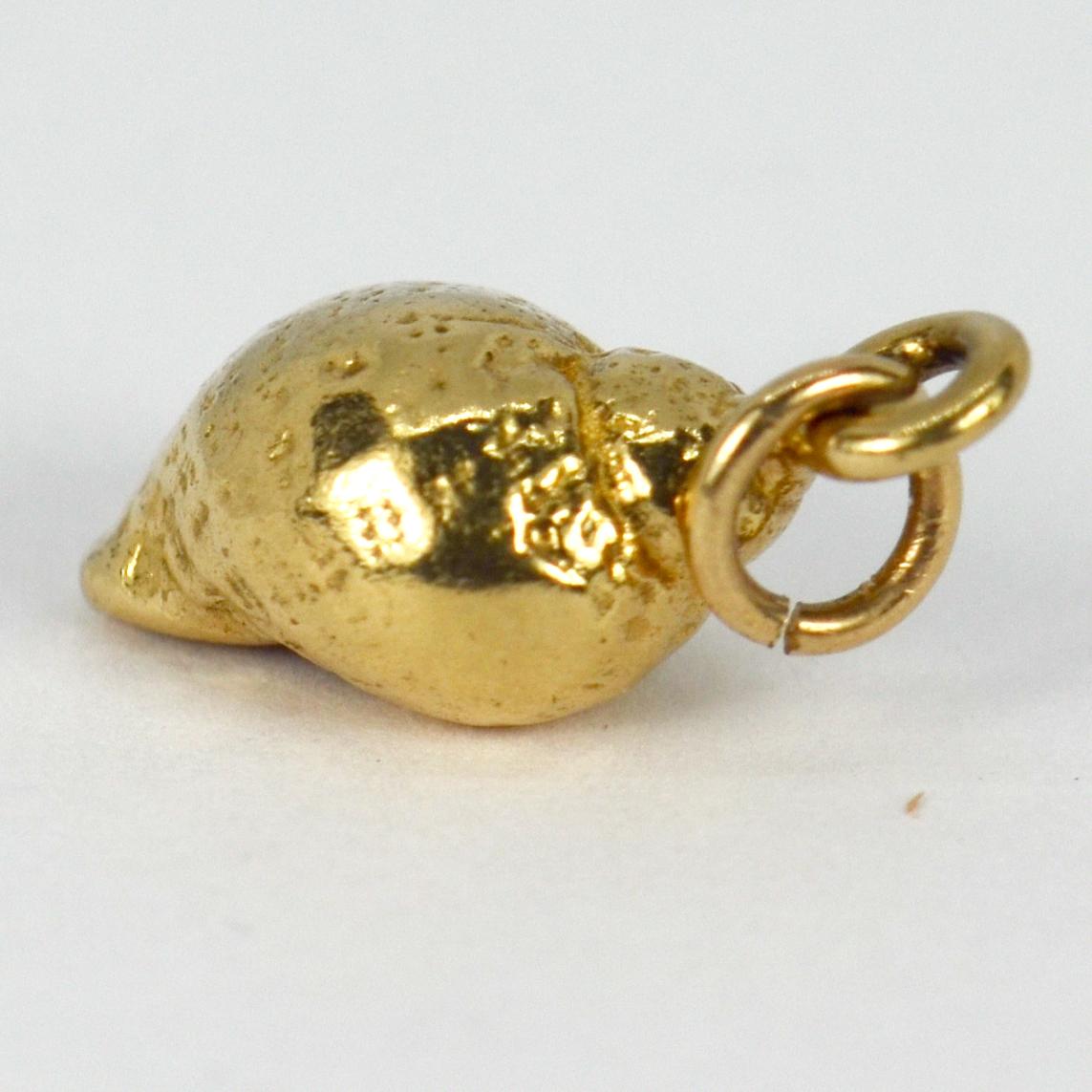 Women's or Men's 14 Karat Yellow Gold Whelk Shell Charm Pendant