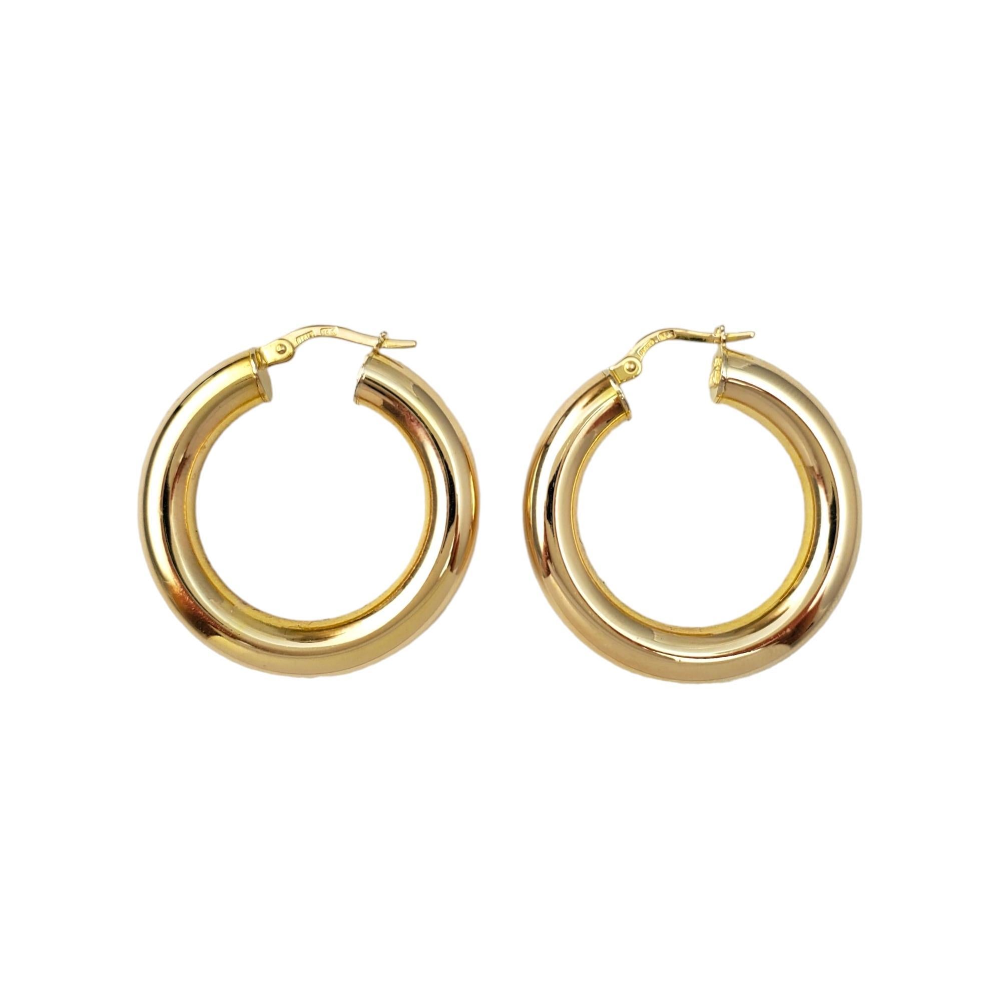 14K Yellow Gold  Hoop Earrings -

These stunning earrings are a classy accessory.

Size:  29.64 mm X 29.78 mm X 5.19 mm

Weight:  3.5 dwt. /  5.4 gr.

Marked: ITALY 14K 80  

Very good condition, professionally polished.

Will come packaged in a