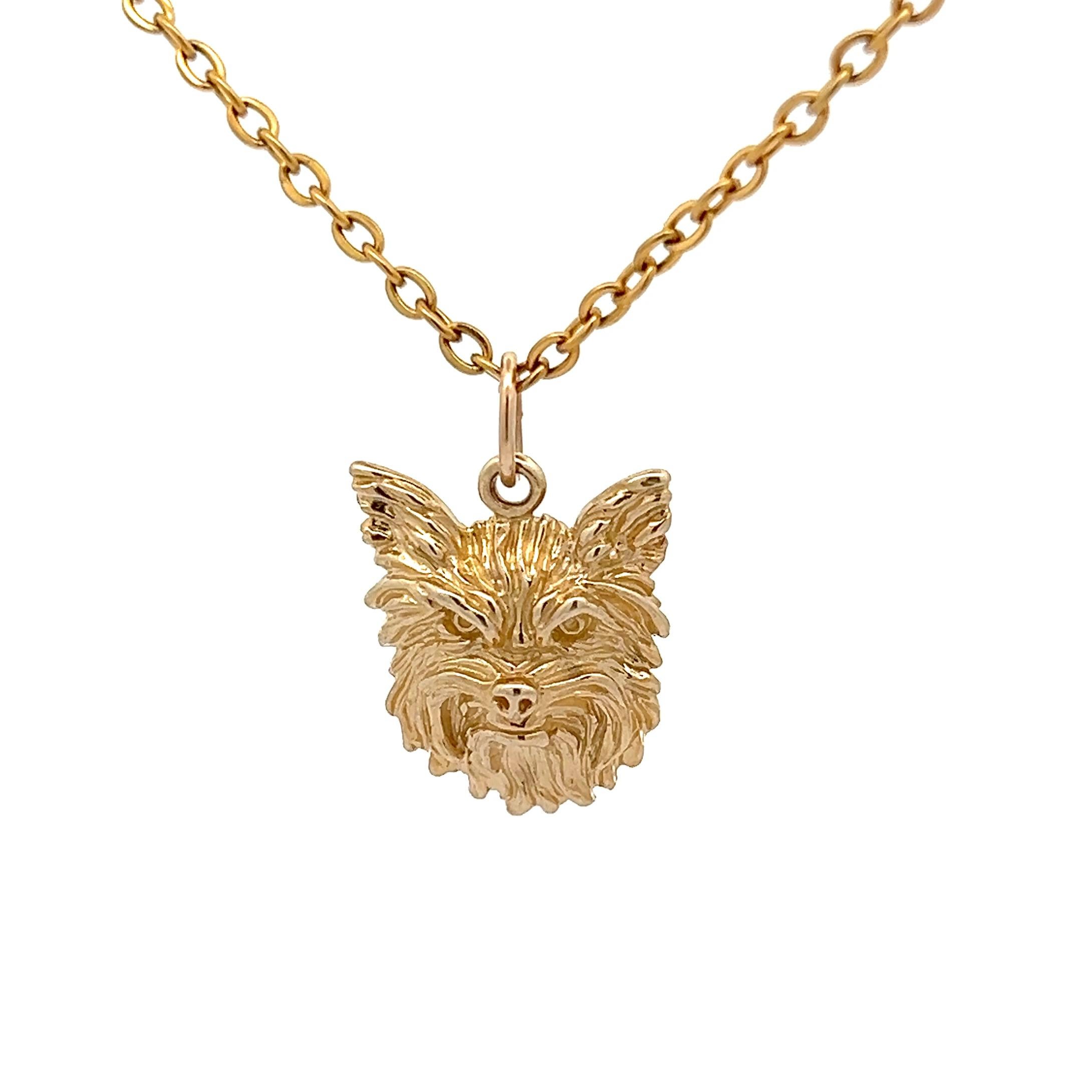 gold yorkshire terrier