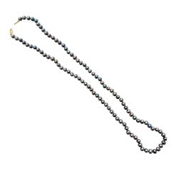 14kt 5.5mm Tahitian Cultured Pearls Blue/Purple 22” Strand Necklace
