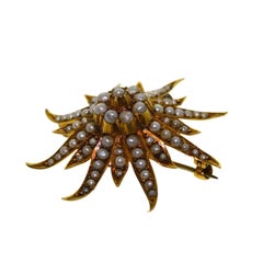 14 Karat Solid Yellow Gold Sea Anemone, Starfish or the Sun