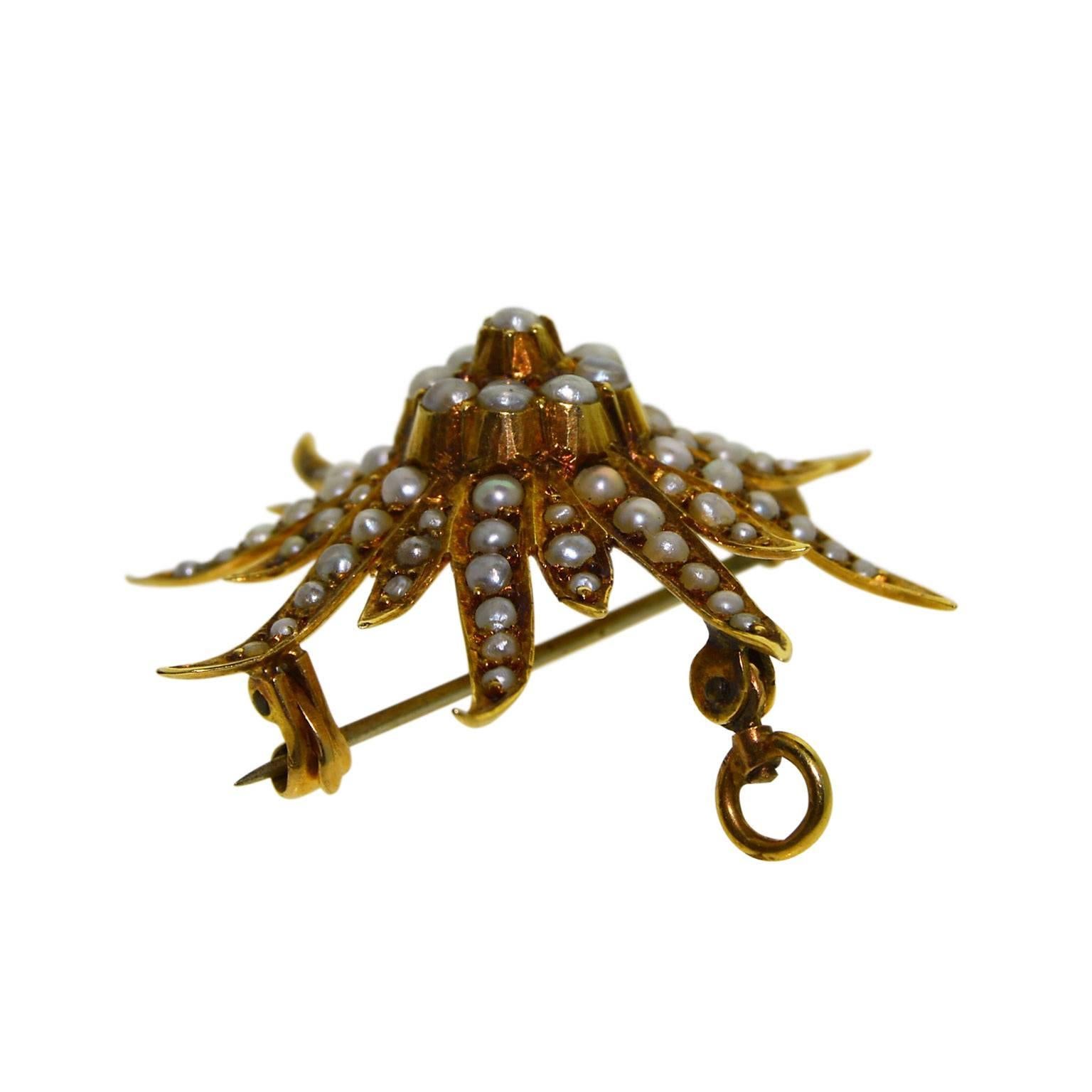 Art Deco 14 Karat Solid Yellow Gold Sea Anemone, Starfish or the Sun For Sale