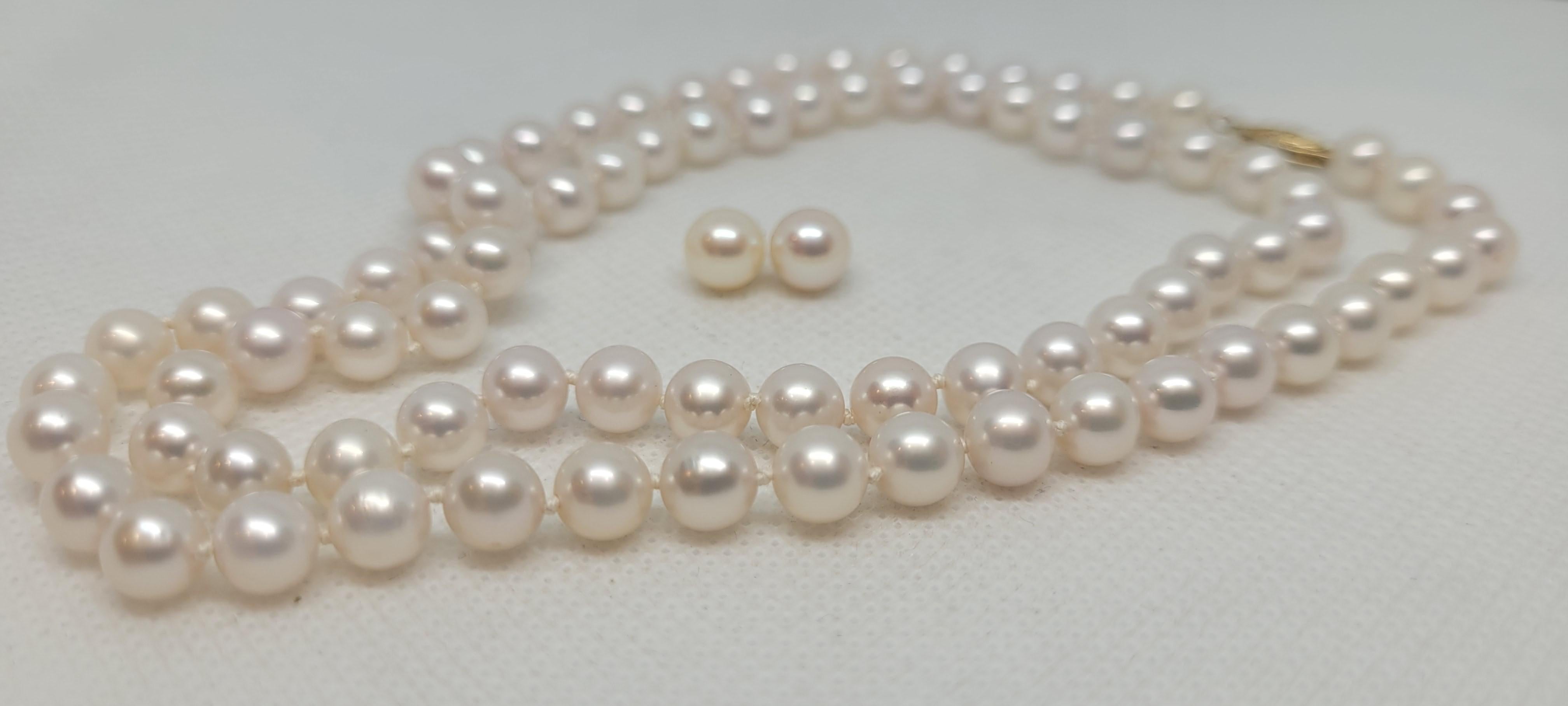 Ce magnifique ensemble de perles comprend un rang de 24 pouces de perles de culture blanches, chacune mesurant 6,5 mm. Il est fixé à l'aide d'un fermoir perlé en or jaune 14kt et pèse 30 grammes. L'ensemble comprend également des clous d'oreilles
