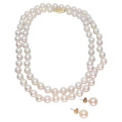 Filo di perle coltivate in oro giallo 14kt da 24 pollici, annodato, 6-7 mm, borchie, attrito