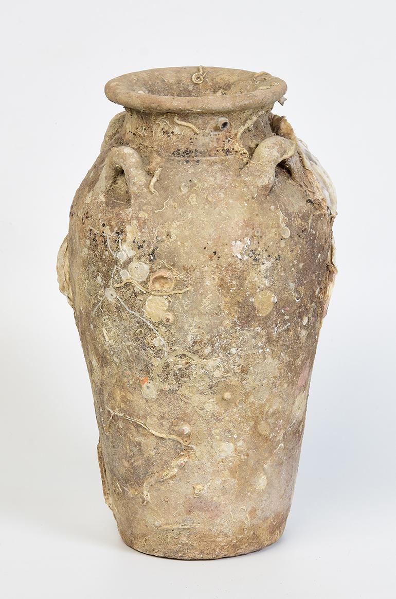 14th-16th Century, Sukhothai, Antique Thai Pottery Jar with Shell from Shipwreck 5