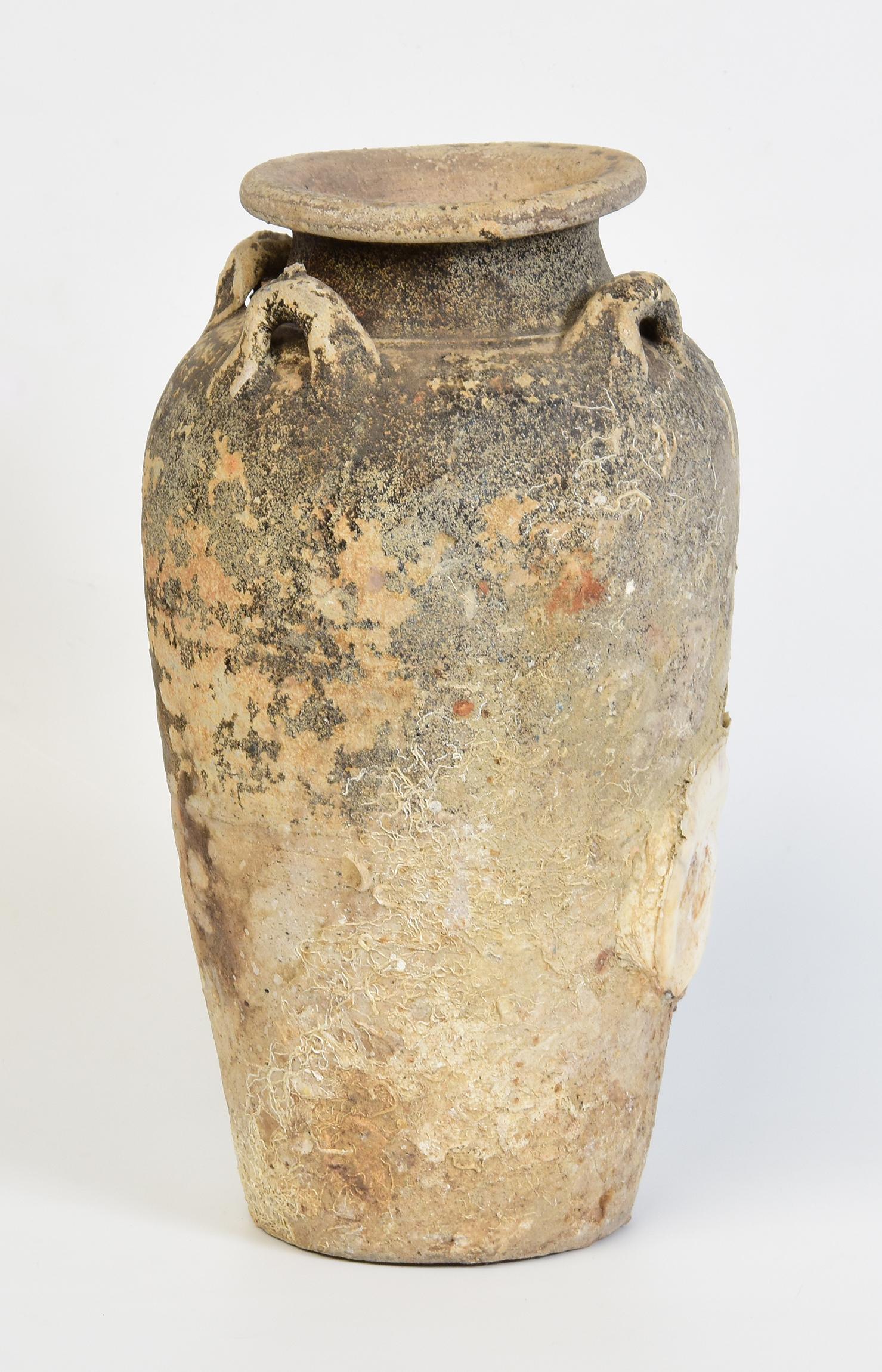 14th-16th Century, Sukhothai, Antique Thai Pottery Jar with Shell from Shipwreck For Sale 7