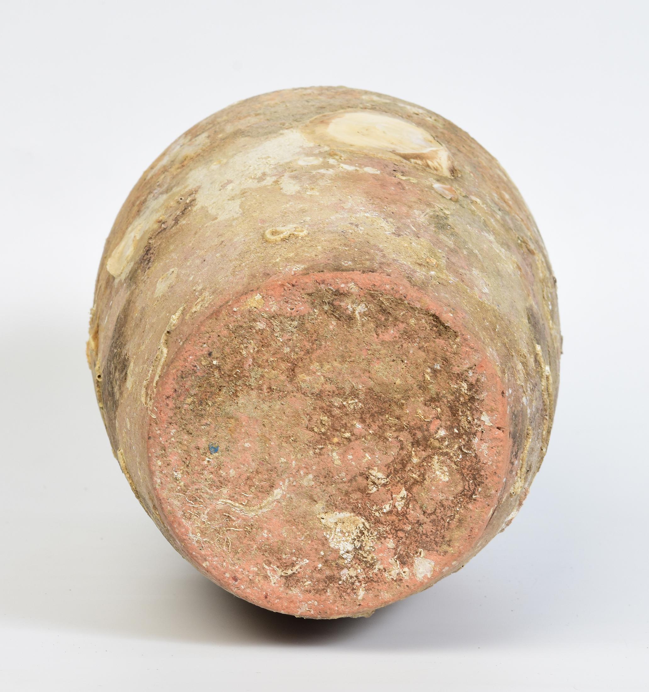14th-16th Century, Sukhothai, Antique Thai Pottery Jar with Shell from Shipwreck For Sale 8