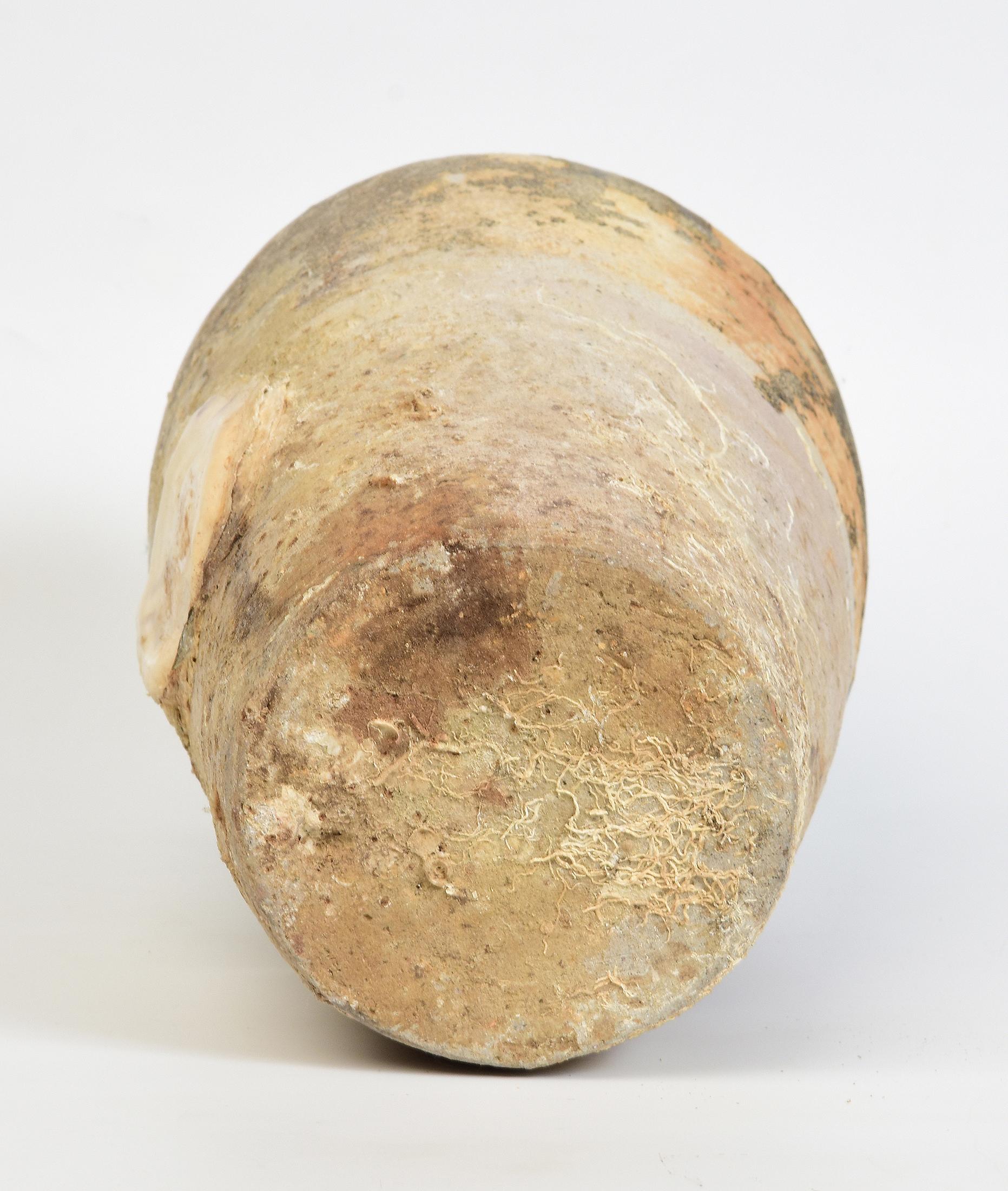 14th-16th Century, Sukhothai, Antique Thai Pottery Jar with Shell from Shipwreck For Sale 9