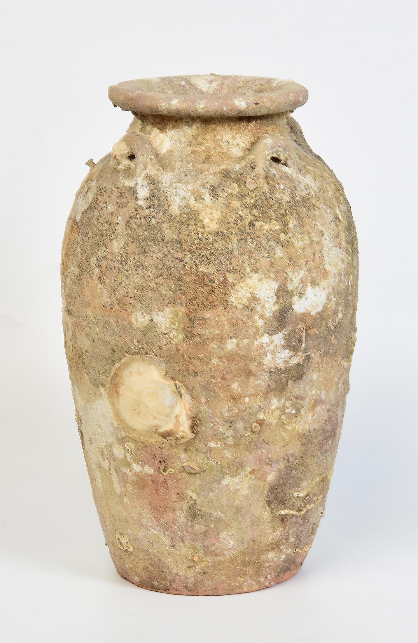 14th-16th Century, Sukhothai, Antique Thai Pottery Jar with Shell from Shipwreck For Sale 3